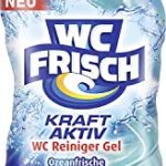 WC Frisch Toilettenreiniger Gel Ozeanfrische (750 ml), Kloreiniger